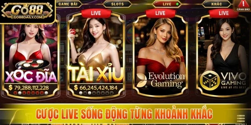 Cược live sống động từng khoảnh khắc 