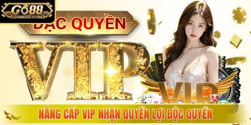 Nâng cấp VIP nhận quyền lợi độc quyền
